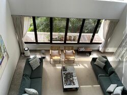 Balmoral Park (D10), Terrace #503702571